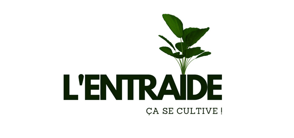 Développement du nom et de l'image de la page Facebook.
En plus de donner des conseils sur le jardinage, cette initiative citoyenne a permis de distribuer des plants de fruits et légumes aux résidents de Saint-Jean-sur-Richelieu, et ce, gratuitement!